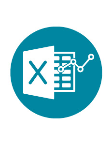 Excel Avanzado Análisis de datos para PYMES